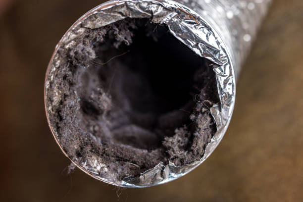 Best HVAC Duct Inspection Services  in Gulf Breeze, FL