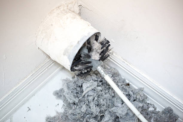 Best Professional Duct Cleaning Services  in Gulf Breeze, FL